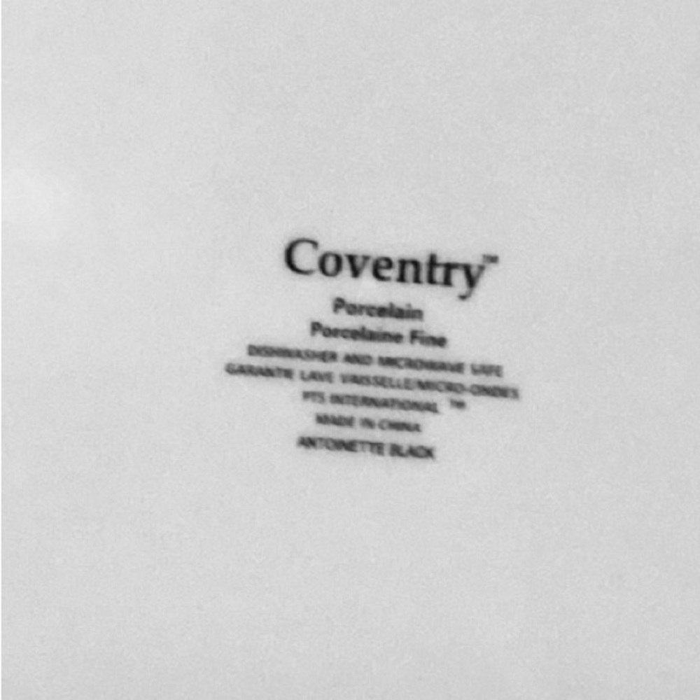 Antoinette Luncheon Plate - Picture 2 of 3